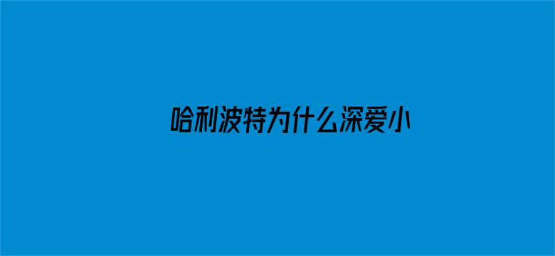 哈利波特为什么深爱小天狼星？